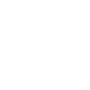 (c) Sivsrl.eu